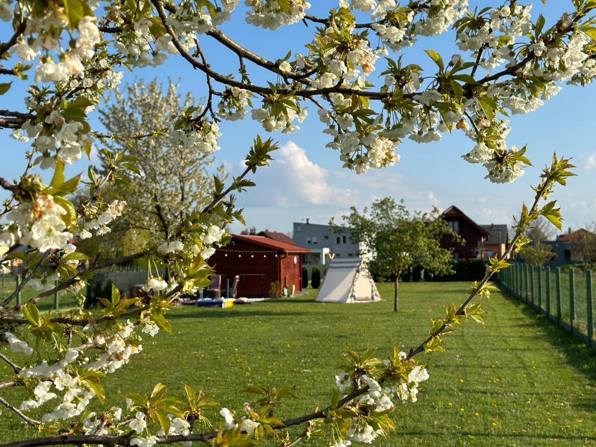 54 Green Road Varazdin Kucan Marof Εξωτερικό φωτογραφία